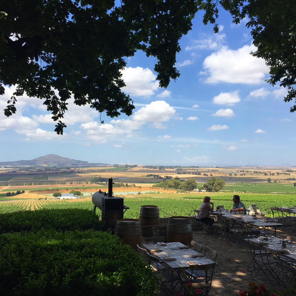 SpiceRoutePaarl's tweet photo. Taking in the views from Bertus Basson at Spice Route. Beautiful day for it @BassonBertus #SpiceRouteDestination https://t.co/eGxBgmMyPS