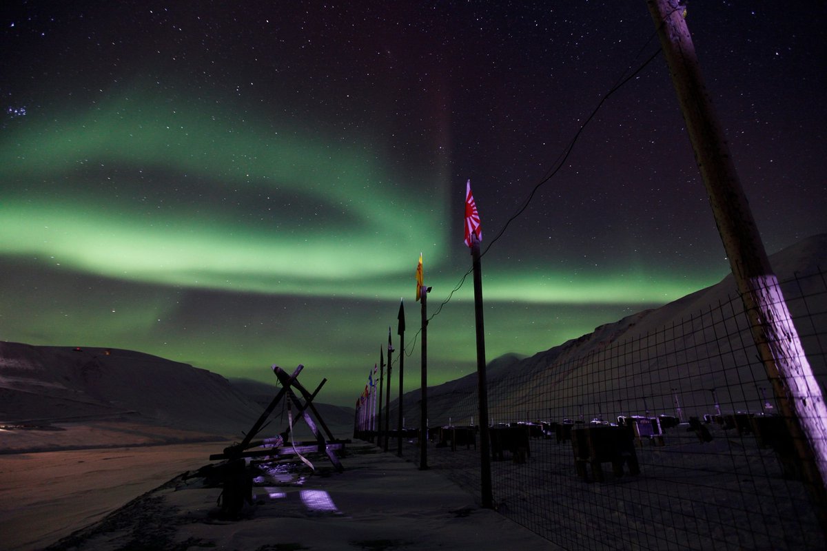 greensvalbard's tweet photo. #greendogsvalbard #unbelievable #auroraborealis #aurorahuskies #aurora #Svalbard #Spitsbergen #Longyearbyen #amazing https://t.co/nY6CB6Ig02