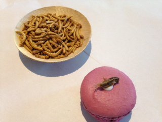 Braced's tweet photo. Bug chef creates a buzz around low-carbon eating https://t.co/QSMfYW4DLj @SaleemulHuq #dcdays https://t.co/VstwvVI66N