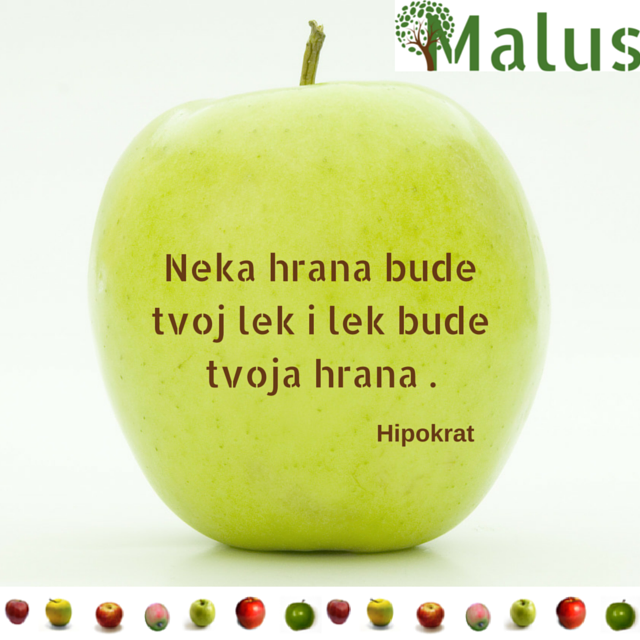 Malus_Olev's tweet photo. https://t.co/uzJiGJeusl