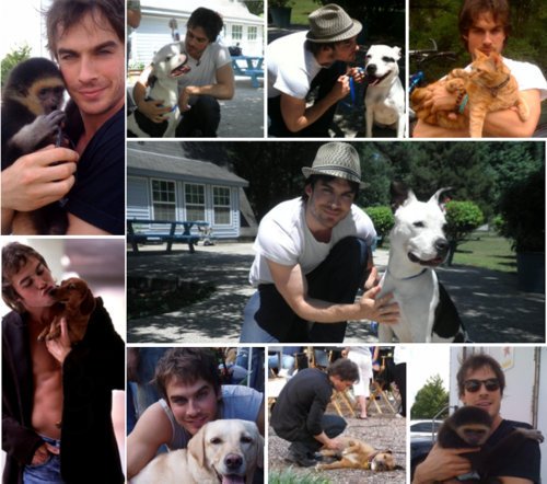 Ian somerhalder é tão maravilhoso por dentro quanto por fora Happy Birthday Ian From Brazil 