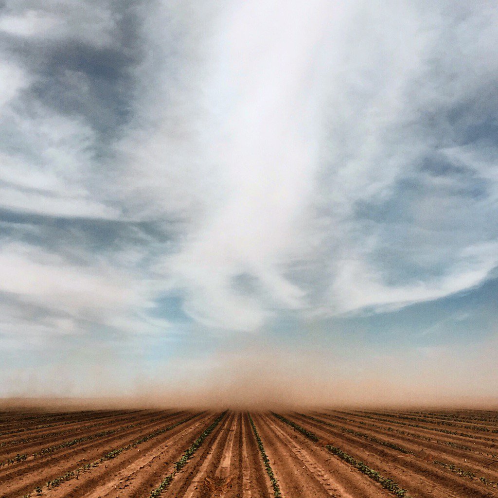 Kate Lumber tweet media