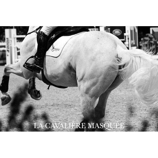 MaskedHorse's tweet photo. EVENT | @LonginesEq @MastersGS Paris 2015 - @MIASUKI Trophy | https://t.co/Jn2UO13sht https://t.co/ay1Yns5GbC