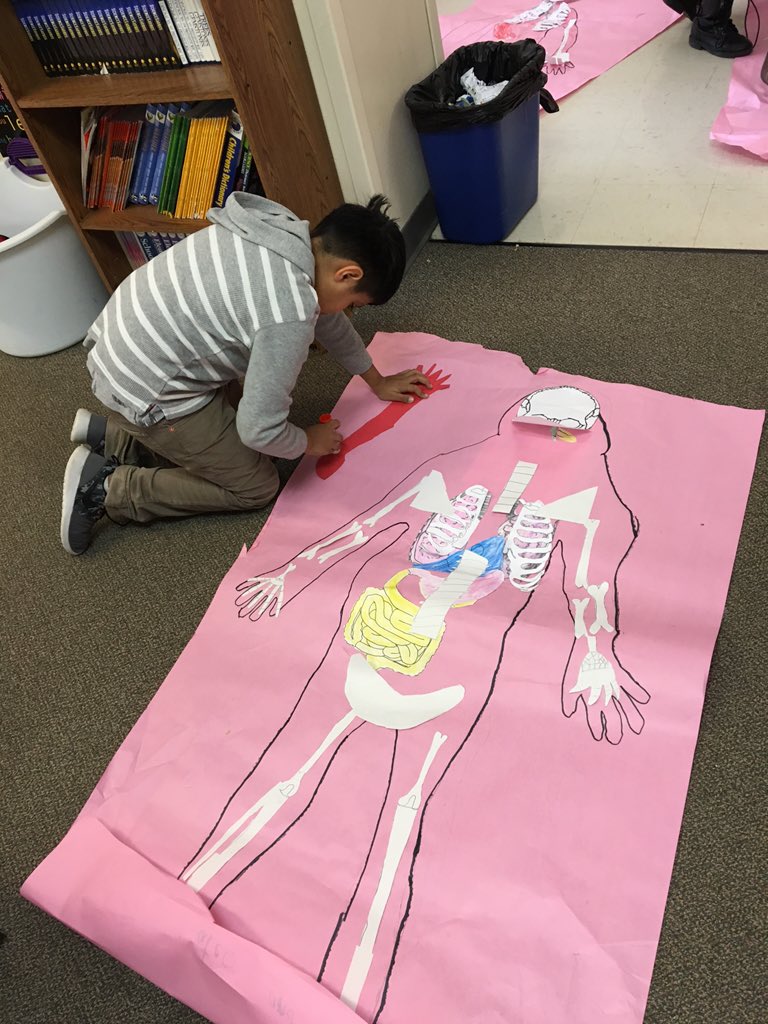 3rdHuffman's tweet photo. Future doctors hard at work on the 3rd grade human body project https://t.co/kp17VwOw8I
