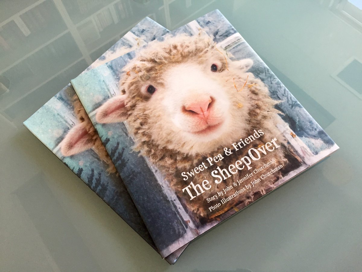 GreenburgerLit's tweet photo. Happy pub day to SWEET PEA &amp; FRIENDS: THE SHEEPOVER by @JChurchman and @JCChurchman! #Sheepover @littlebrown https://t.co/ADR1tuORnU