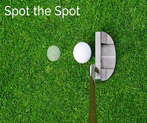 P2Gripsold's tweet photo. Imagine a spot just in front of your ball, on your target line that your ball will be rolled over. #golftips #golf https://t.co/D87Nr62M9E