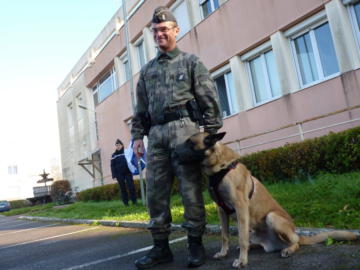 Lebienpublic's tweet photo. Beaune : le chien du peloton de gendarmerie décoré [En images]
https://t.co/ypfpxnkABd https://t.co/84d60FpTZP