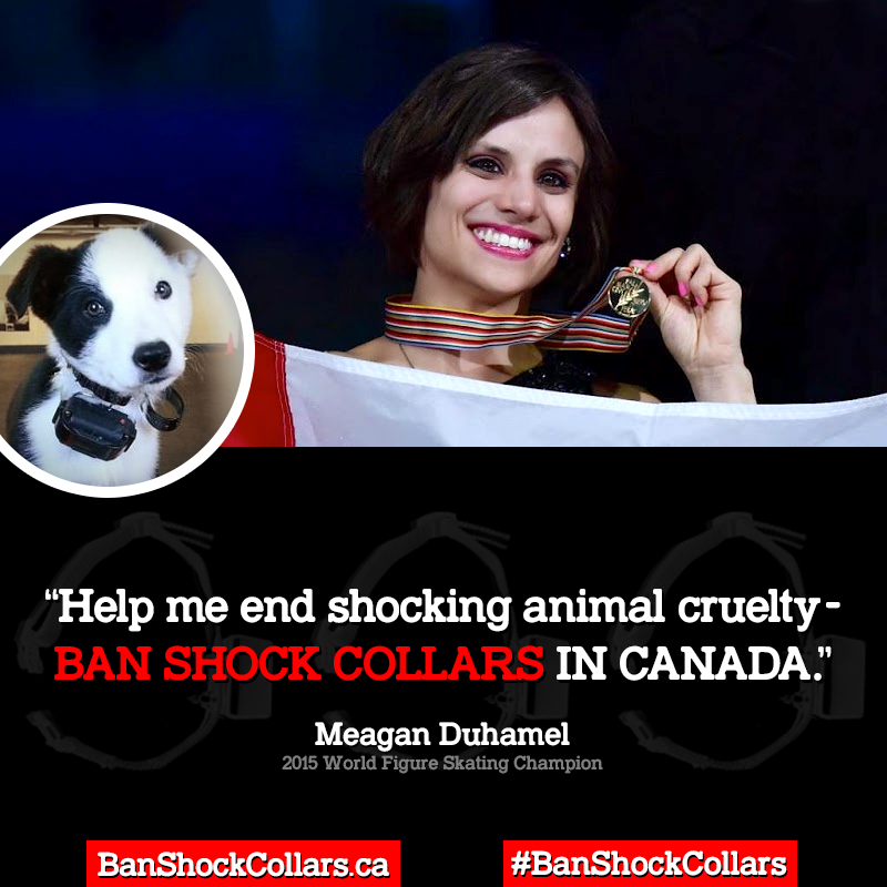 Wishing a very happy birthday to Meagan Duhamel ( who stars in our new campaign to 