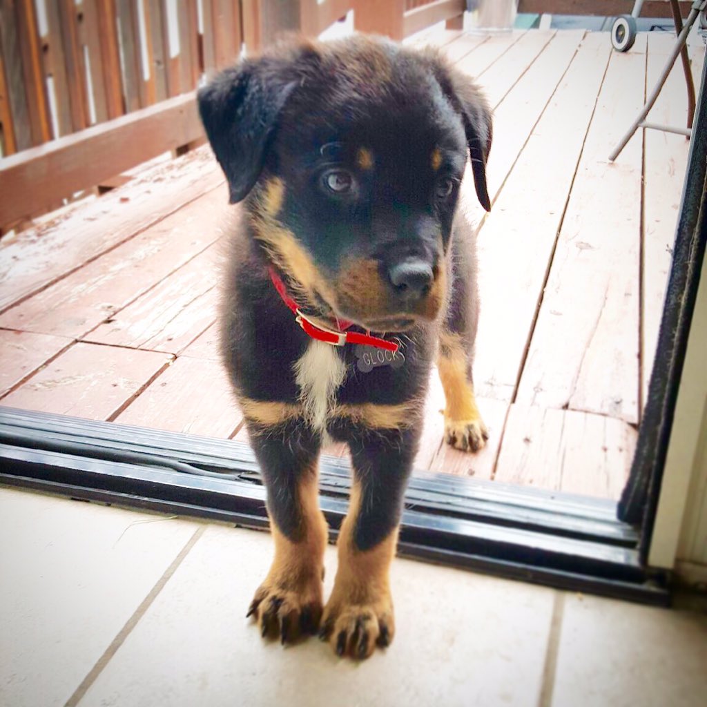 stephie618's tweet photo. @taykitners It's gonna happen. How can you not love this face? https://t.co/ellyT1iKqW
