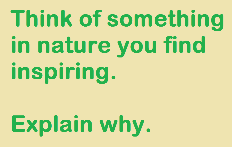 Writing_Bobcats's tweet photo. #Journal5 #NatureInspiration https://t.co/8BG9tr371W
