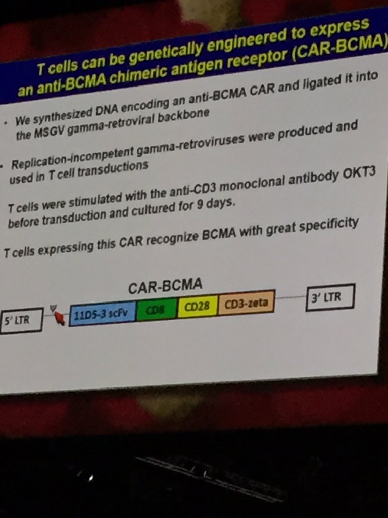 MyelomaTeacher's tweet photo. Myeloma CARtcells data from NCI trials #ASH15 #IMFASH15 #mmsm https://t.co/UHKjr1uE98