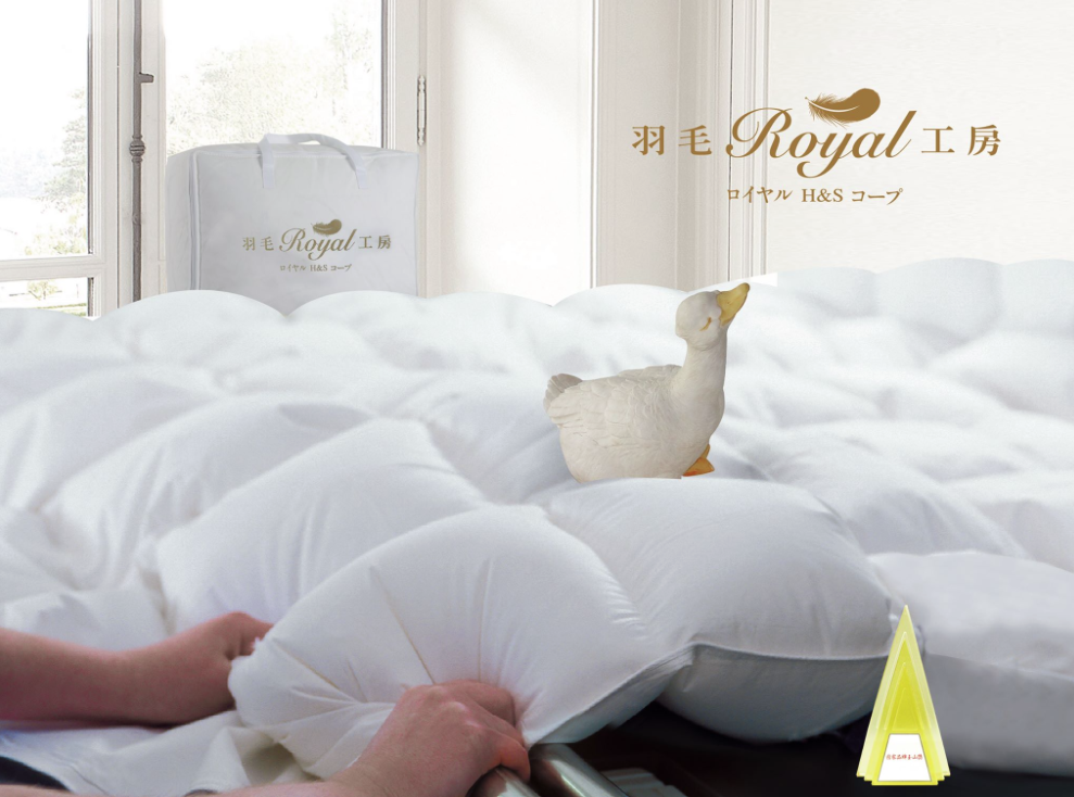 SeaCellEn's tweet photo. The #SeaCell™ #seaweed #fiber in bedding and towels of #RoyalHS!
https://t.co/WaAcvSsLQM
https://t.co/KdA27zIYKJ https://t.co/H8fmYvYfyL
