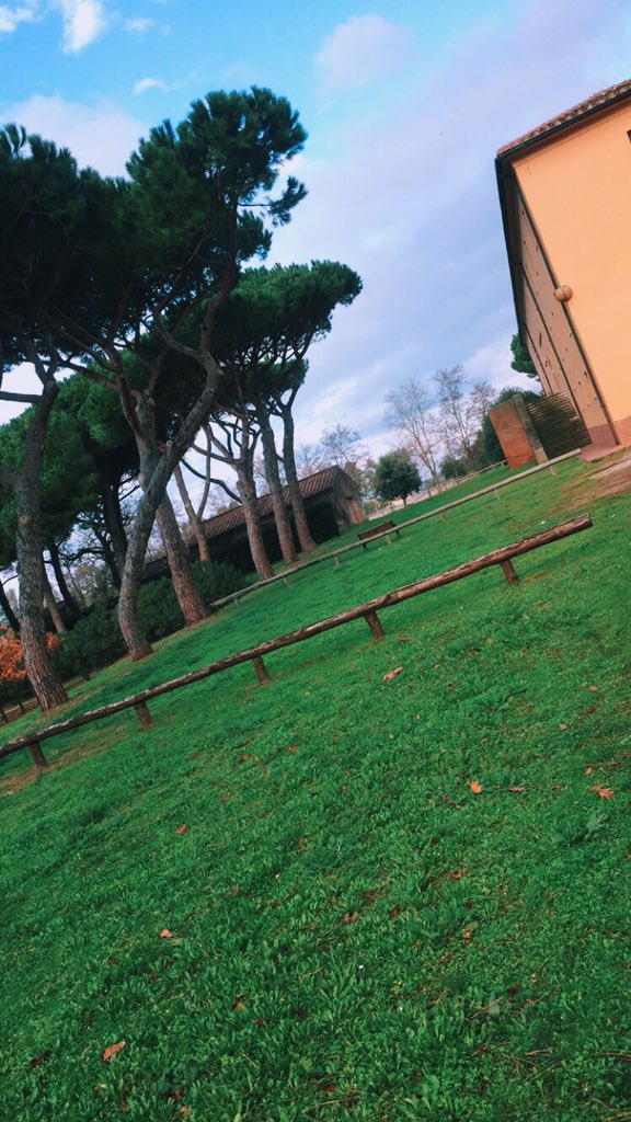 sofia_viscardi's tweet photo. My happy place. 🍃 https://t.co/wzc4fKThFC
