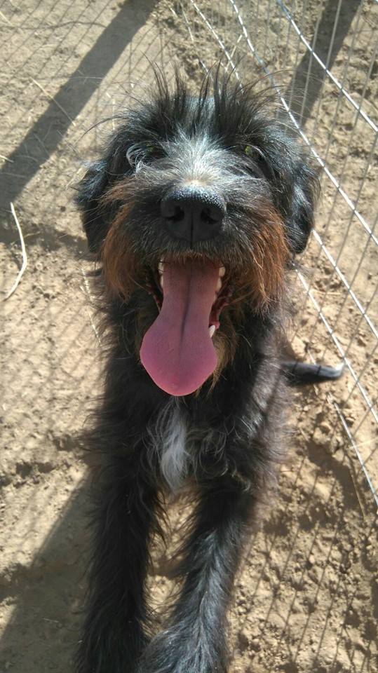 Fundación Matpet tweet media