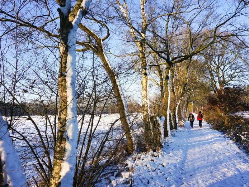 Zo 27 dec mooie 'Winterwandeltocht' va 08.00 u Heeswijk-Dinther, Nistelrode en Vorstenbosch trv-bernheze.nl