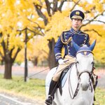 白馬にまたがる”警視庁騎馬隊”がカッコよすぎる!