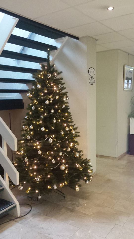 De kerstvoorbereidingen zijn in volle gang! #kerst #kerstboom