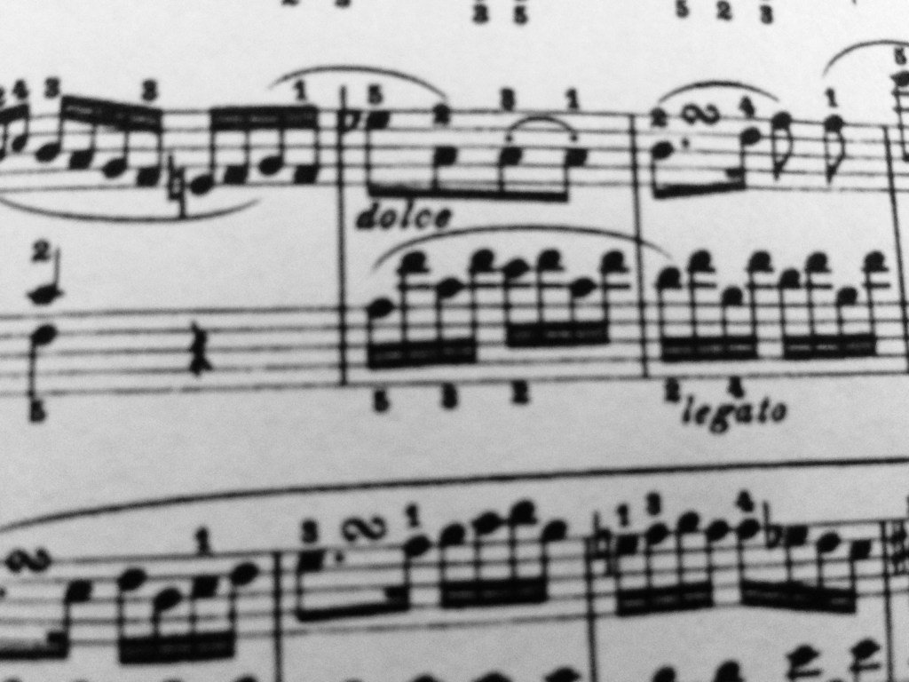 So in love with Daniel Romo's poetry. So we'll share so you can become enamored as well. dailydoseoflit.com/2015/12/08/poe…