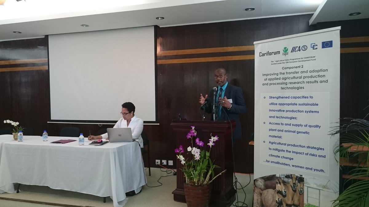 Ruel Ellis (@rlaellis) | Twitter