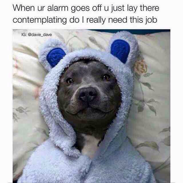 trillageee's tweet photo. The answer is always yes 😩 https://t.co/vORFumuB2A