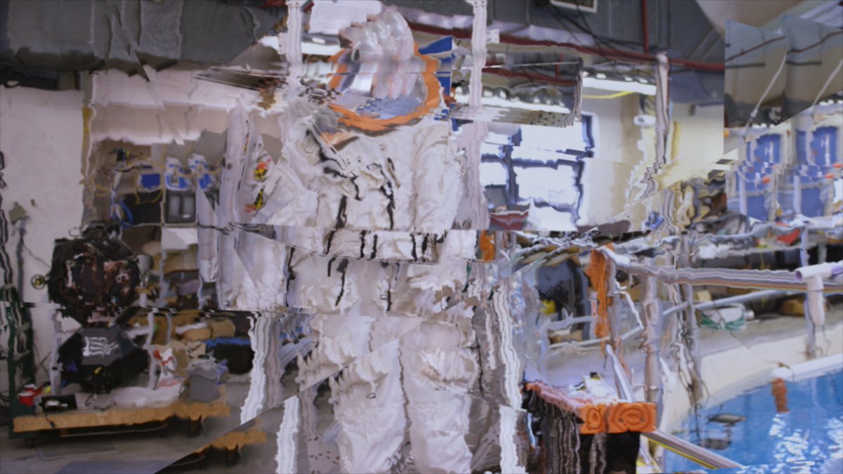 Whitney Museum tweet media