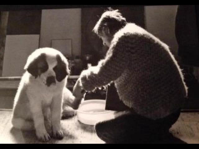 鴨居玲の作品には然程興味がないが、鴨居玲が犬と触れ合ってる写真は最高すぎて永遠に見ていたいと思う 