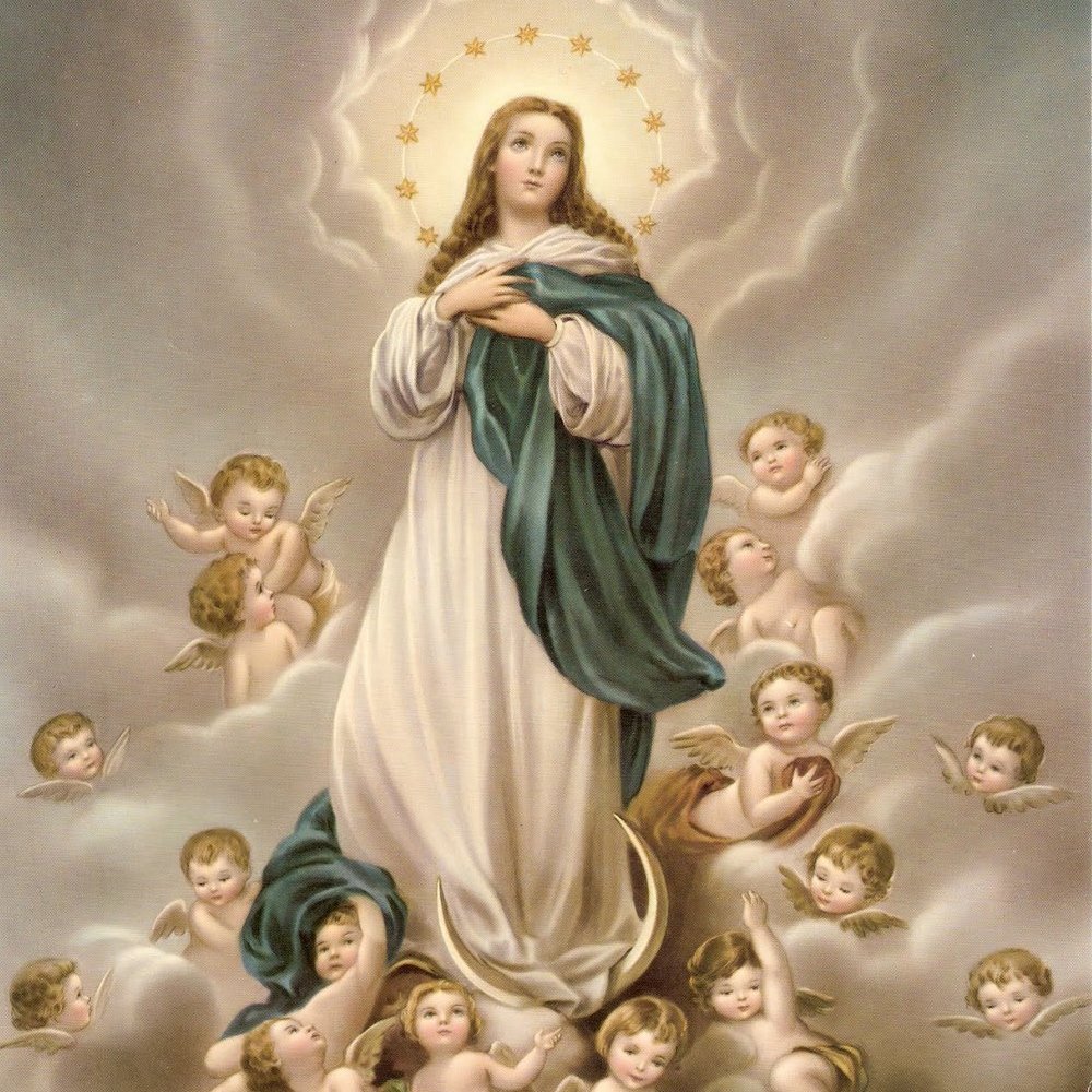 pequeninosDS's tweet image. -8 de Dezembro - Imaculada Conceição
#ImaculadaConceicao #santa #coroada #Deus #Maria