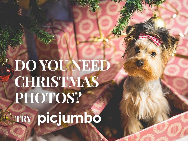 picjumbo tweet media