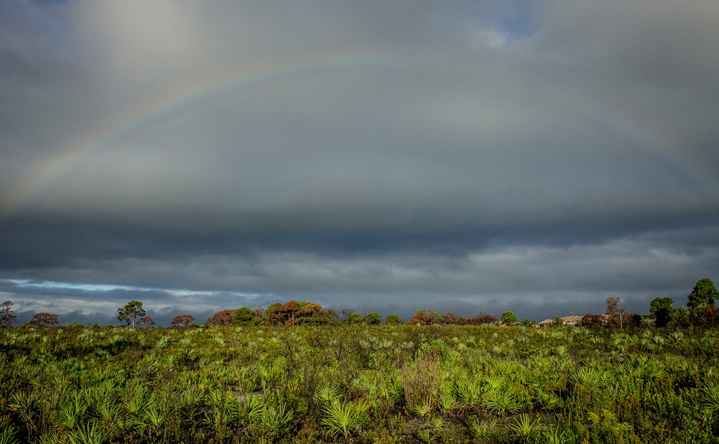 PalmBeachesFL's tweet photo. Somwhere over the rainbow… #JunoDunes #TravelTuesday https://t.co/ia0b6LJZR3