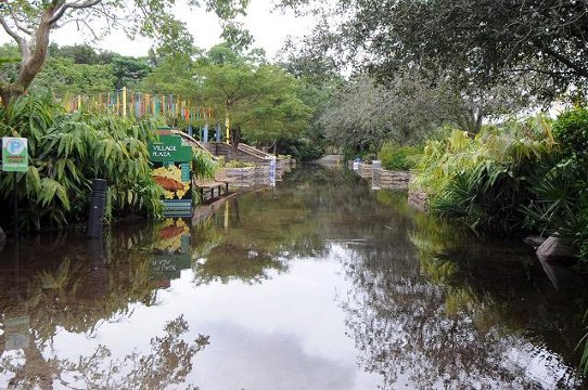 . @zoomiami closed for another day because of flooding. bit.ly/1lo8zny https://t.co/7zKheLNsEW