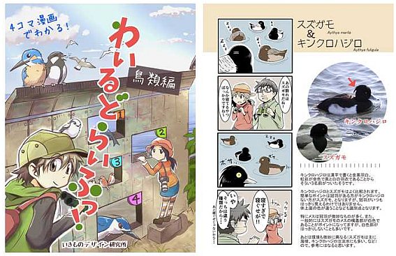 いきもにあ、開催が近づいて参りました。日本の絶滅種クリアファイル、絵合わせパズル、4コマ漫画、ポストカード等を出展します。@いきものデザイン研究所
 #いきもにあRT祭り 