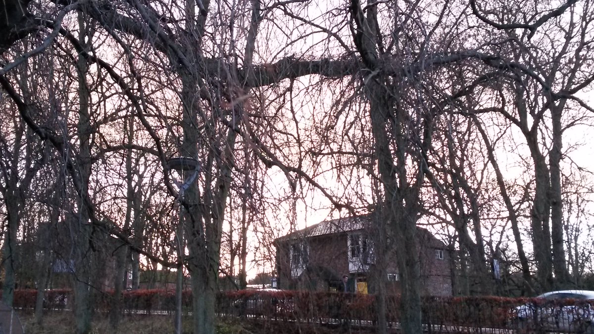 SaraLUckelman's tweet image. Got out of lecture at 15:00.  Found the sun already setting.  #DoNotLike