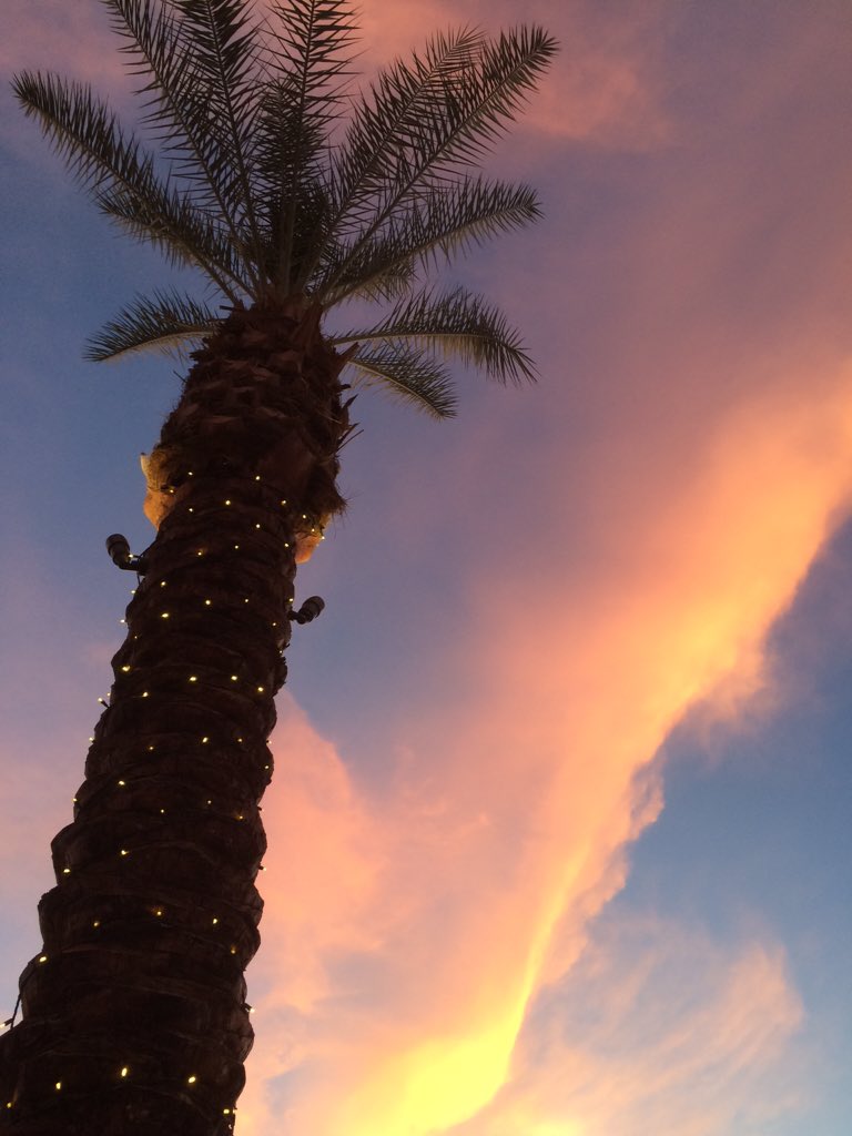 nfiore's tweet photo. Last day of CMC 2015, great get together last night under a beautiful sunset. #color15 https://t.co/JBn2AGaB32
