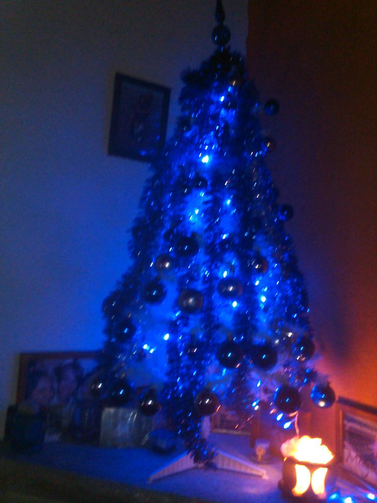 SpositoMarce's tweet photo. Mi árbol tripero en el puestas muchas esperanzas!!! https://t.co/Kewk43w2IC