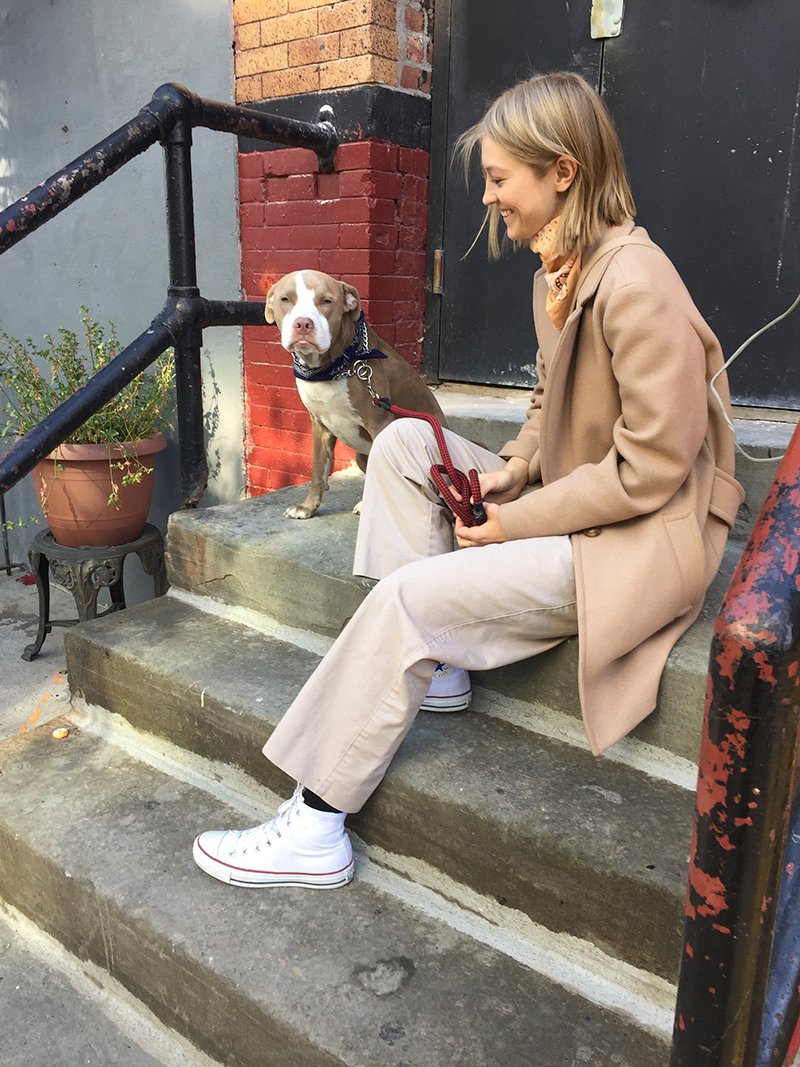 Repeller tweet media