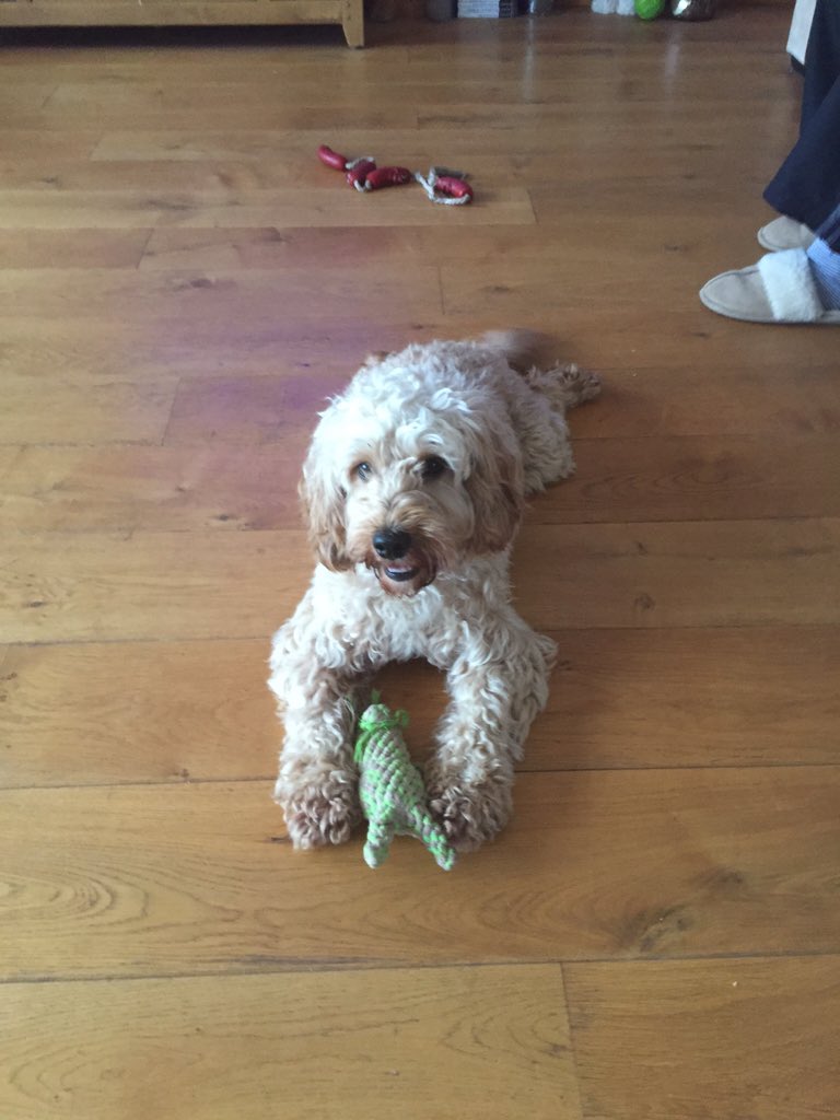 PrioryFarmEquestrian tweet media