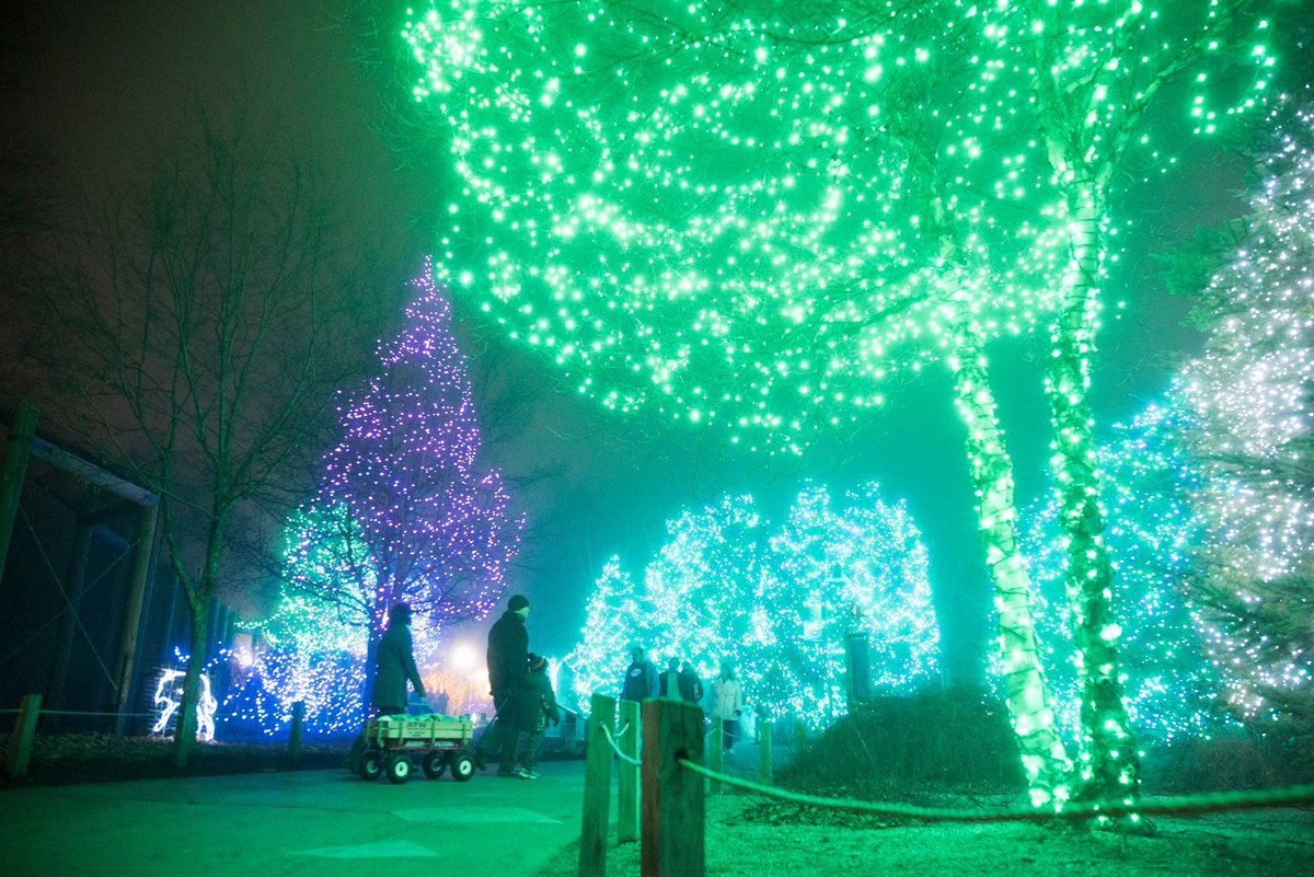 ToledoZoo's tweet photo. The fog last night made for a pretty cool #LBC2015 experience! #ToledoZoo https://t.co/vVGH9LuJIS