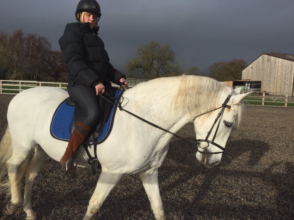 PrioryFarmEquestrian tweet media