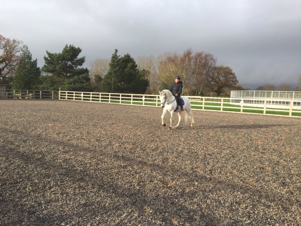 Can't beat a spot of #sunny afternoon #training. The clouds look a bit scary though haha. #trainhard #equine #horses