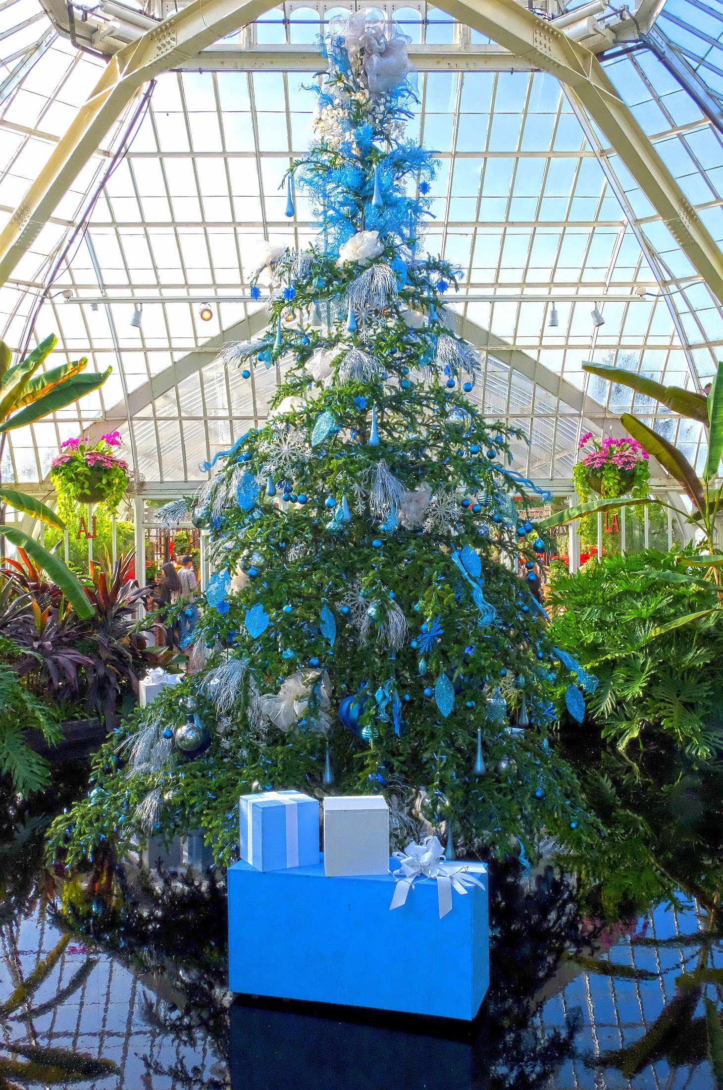 LMS Greenhouse (lms_greenhouse) / Twitter