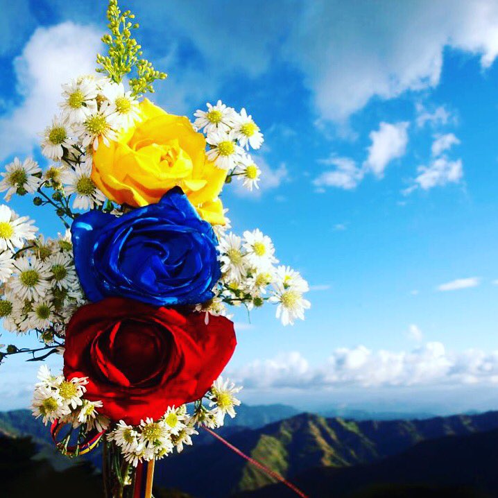 Karla Labrador tweet media