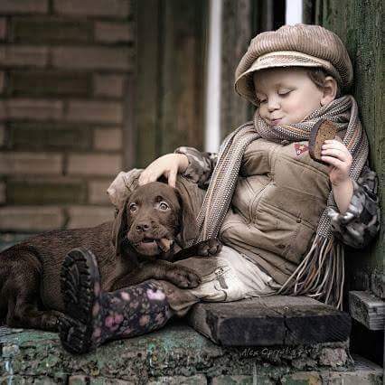 Baby Emotions (@babyemotions) on Twitter photo 