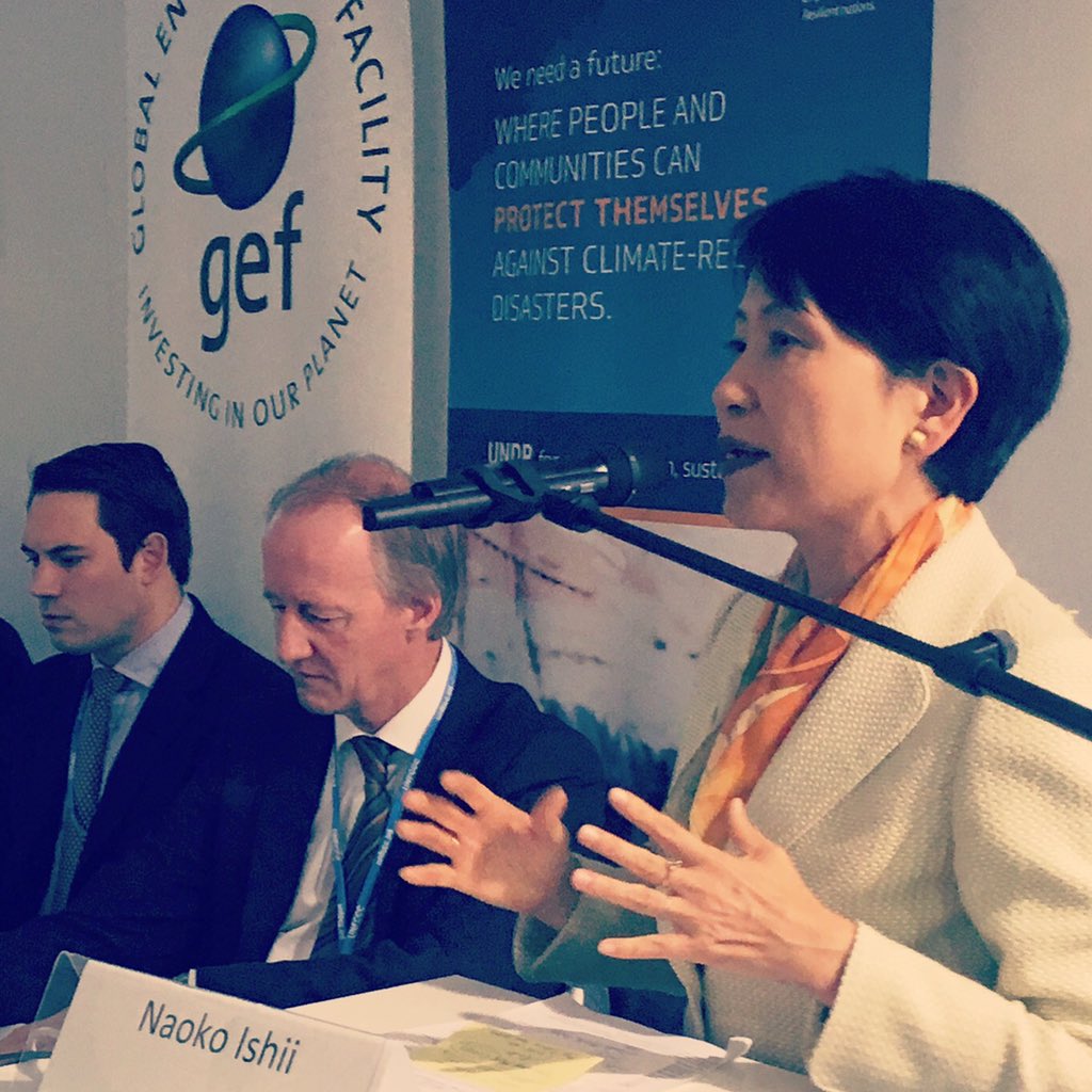 Climate Aggregation Platform (CAP) - The platform will aggregate and standardise investments in small loans and assets, aiming to leverage low cost mainstream investment and build pipelines of low carbon energy projects.