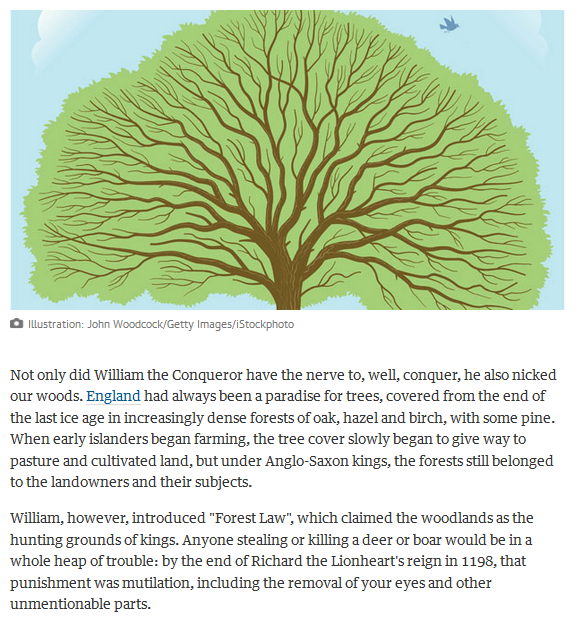 GenesisTreeSrvc's tweet image. RT  #TreeTrimming #SanRamonTreeRemoval #TreeThinning