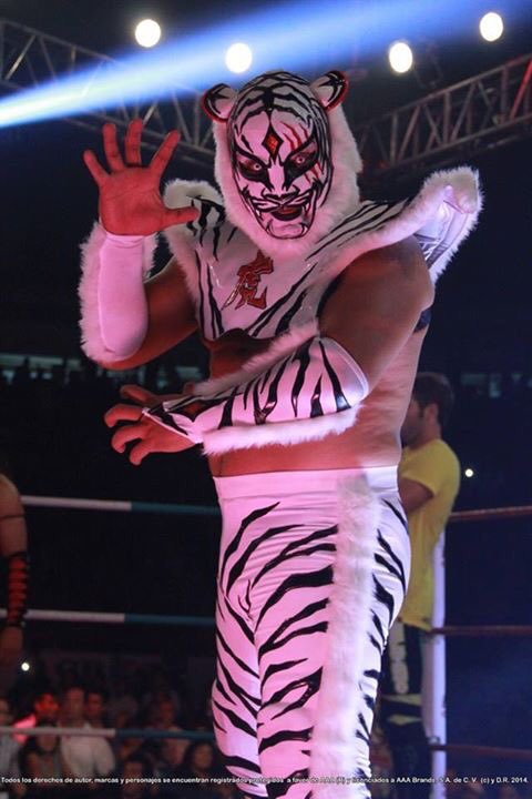 luchalibreaaa's tweet photo. #BitAAAcora: Convivencia con @LadyShaniAAA y Bengala en @MUSEOMODO
Jueves, 3 pm: Colima 145, Colonia Roma. https://t.co/EdoMd4cco6