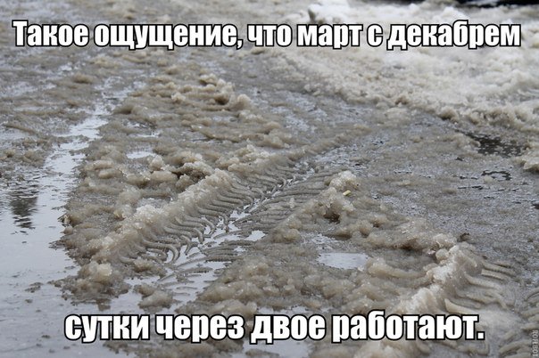Наш Димитровград (@dimcitysupport) on Twitter photo 