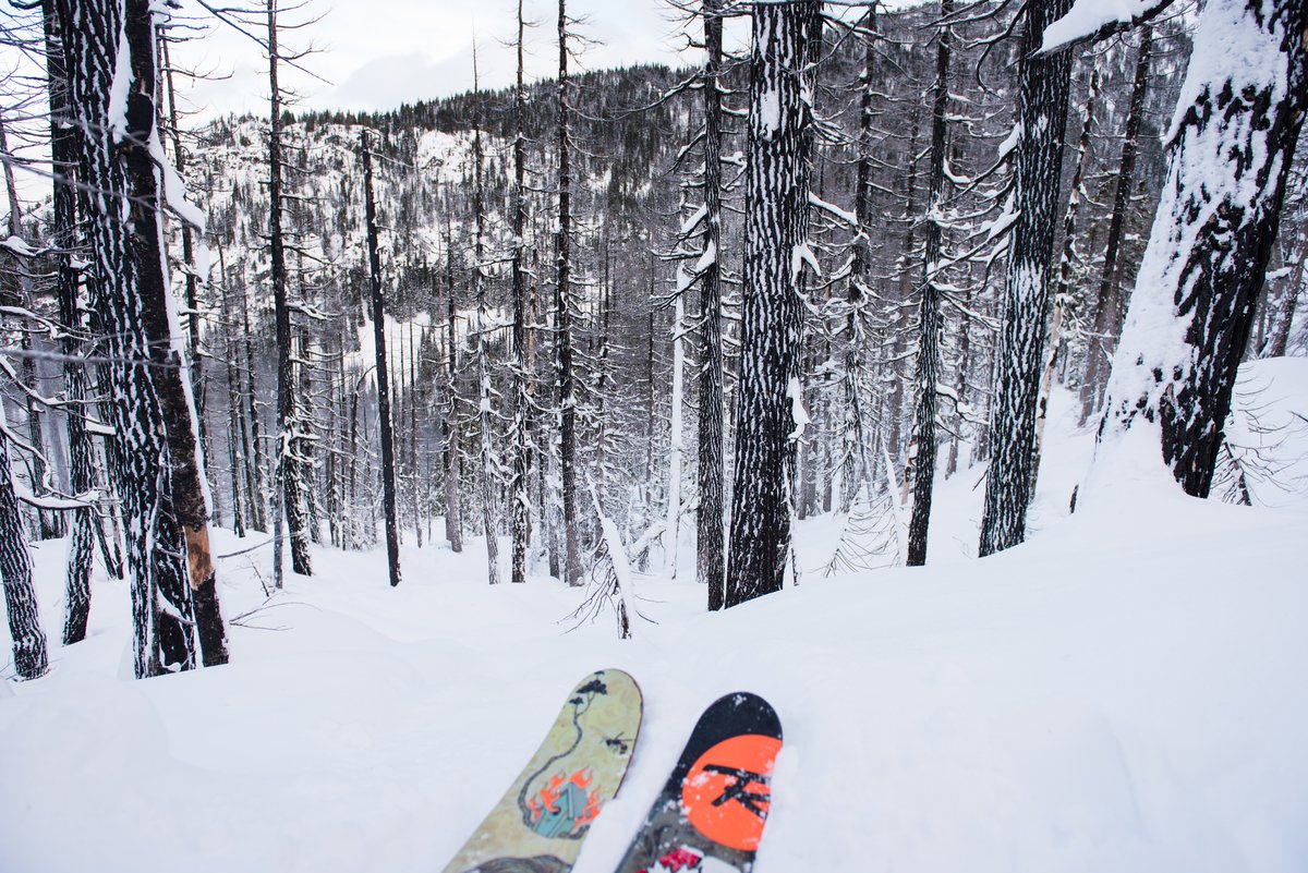 GoWhistler's tweet photo. Who got some powder turns last weekend? Photo: Mike Crane #littlethingswhistler https://t.co/wgeGOUS2Dq