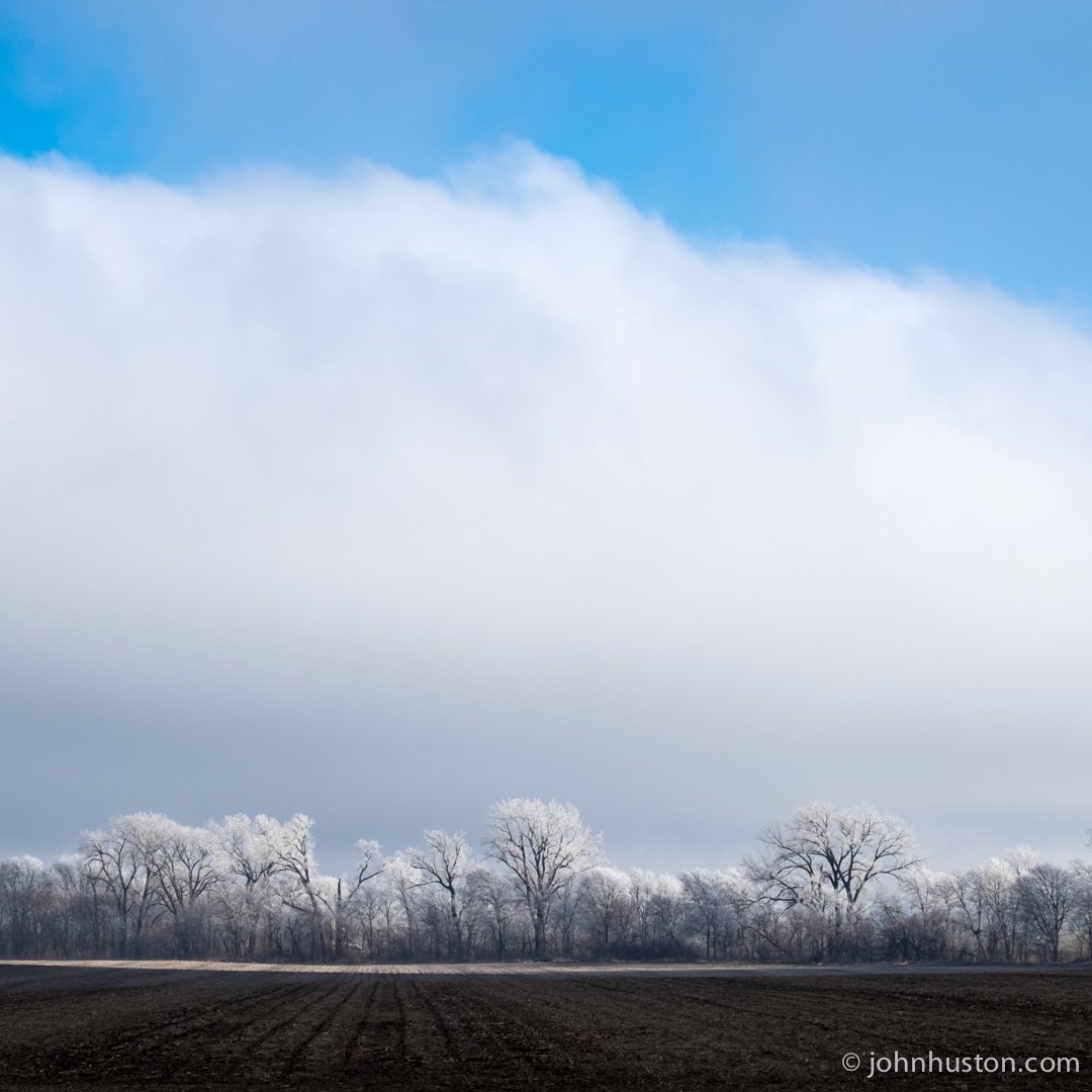 hustonexplorer's tweet photo. Frosted farm forest
Late morning Sunday I came across this zone of heavily frosted trees. Made me hit the backroads https://t.co/rm28Jmo3wy