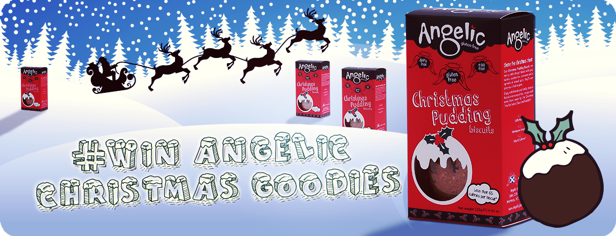 Angelic_gf's tweet photo. ✫Welcome to our #ChristmasGiveaway!✫ RT &amp; follow for your chance to #WIN Christmas pudding cookies! @thevegankind https://t.co/vVFaGlLirL
