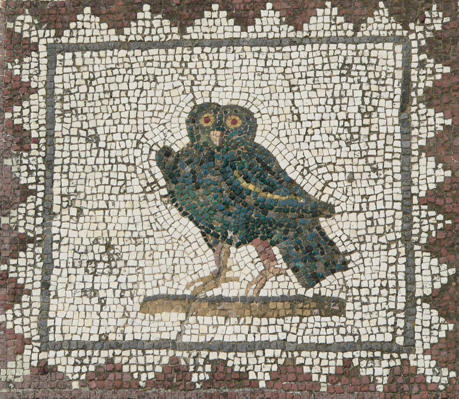 Pythika's tweet photo. Owl from the House of the Birds, Itálica, Andalucía https://t.co/gB5ylJHPAi